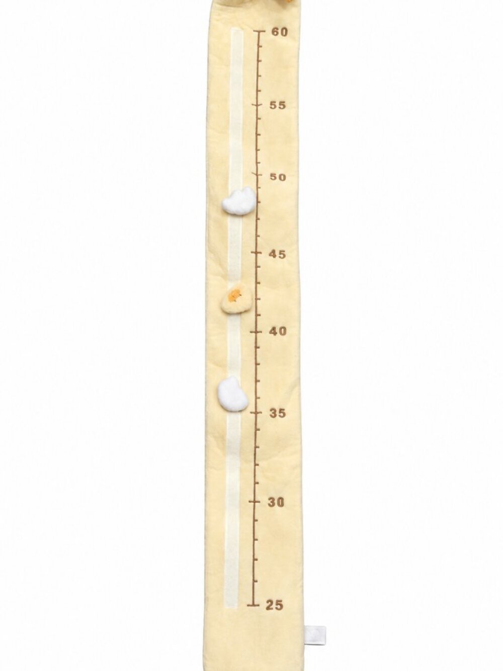 Toddler Shawl, Duck Growth Chart & 3 Baby Blankets Bundle